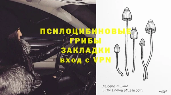 шишки Зеленокумск