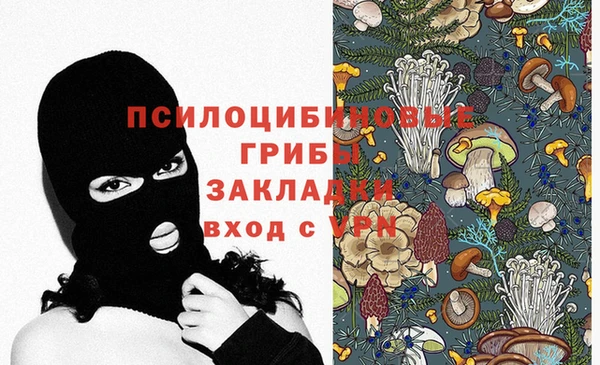 шишки Зеленокумск
