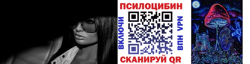 Купить где  Камышин  Псилоцибиновые грибы Psilocybine cubensis 
